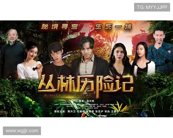 罪与罚的交响曲：深入《法律与秩序：特殊受害者》的暗夜迷踪