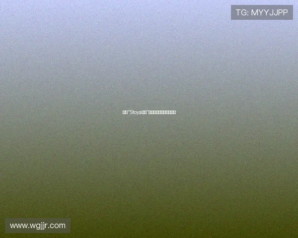 探索“Stoya合集”：不止于视觉的感官盛宴